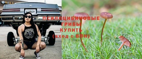 бутират Алзамай